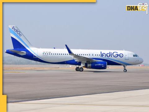 indigo flight (file photo)