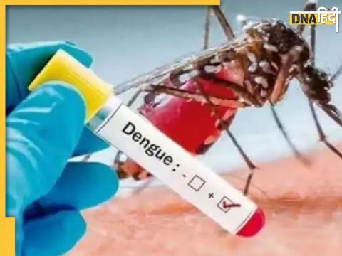 Dengue Fever 