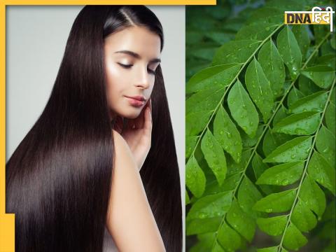 Curry leaves Benefits For Hair