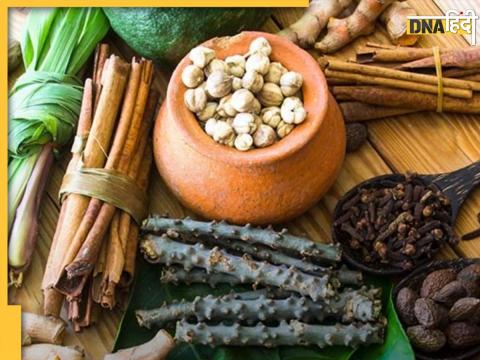 Ayurvedic Herbs Can Control Uric Acid