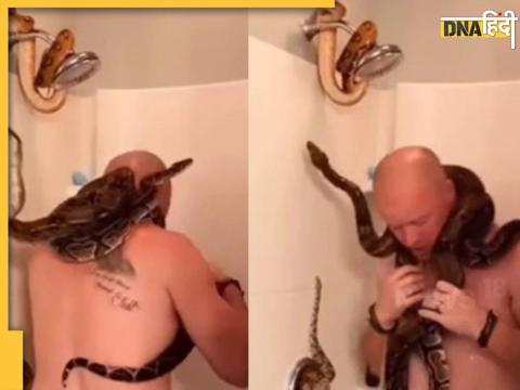 Snake Video Viral