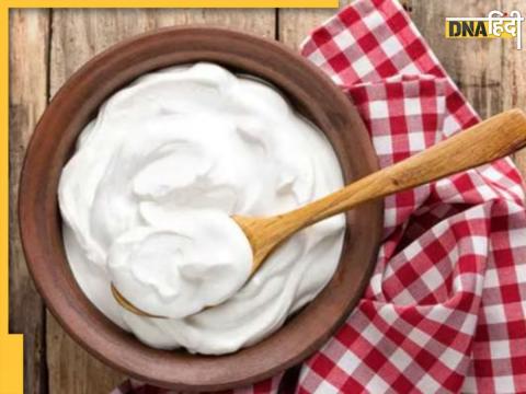 Curd For Weight Loss