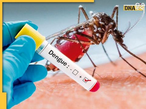 Diabetes Patient Increase Risk Of Dengue Shock Syndrome 