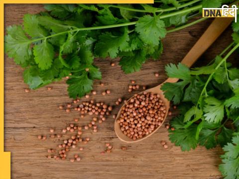 Green Coriander Health Benefits