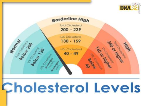 Cholesterol 