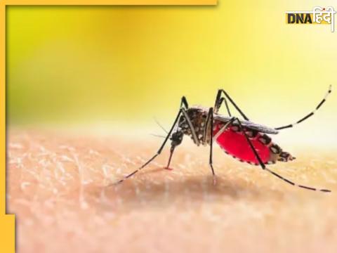 Food To Avoid In Dengue