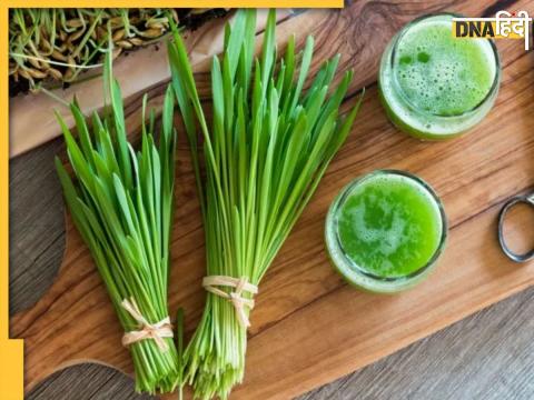 Barley Grass Juice Health Benefits