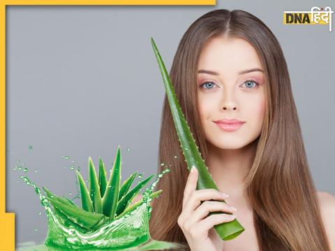 Aloe Vera For Hair Care