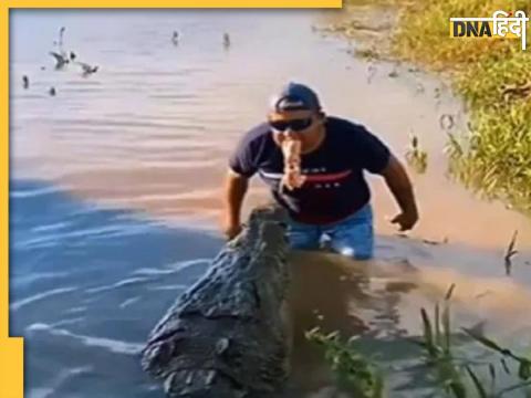 Crocodile Dangerous Video