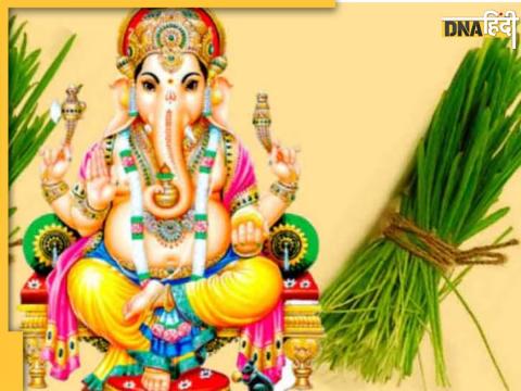 Ganesh Chaturthi 2023 Durva Ke Upay