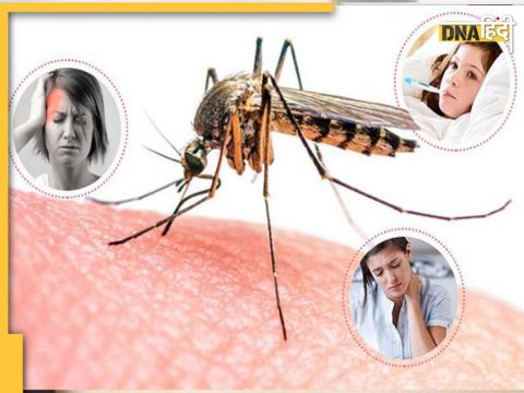 Dengue or Malaria Symptoms