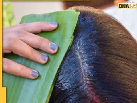 Aloe Vera For Hair Care