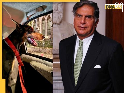 Ratan tata dog lover