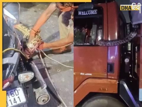 10 feet python in truck Noida 