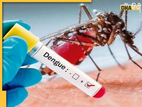 dengue treatment