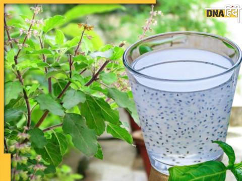 Tulsi Seeds Water Benfits