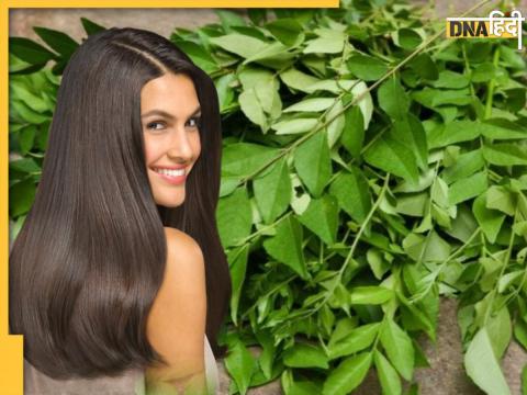 Curry Leaves For Hair Care