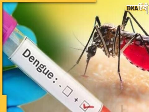 Dengue Fever Symptoms