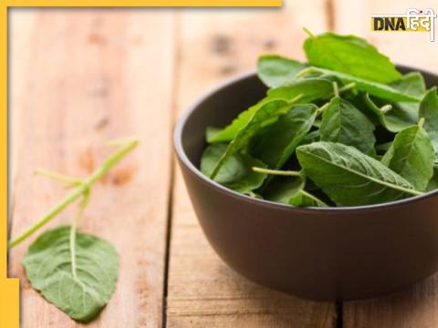 Tulsi Leaves Benefits