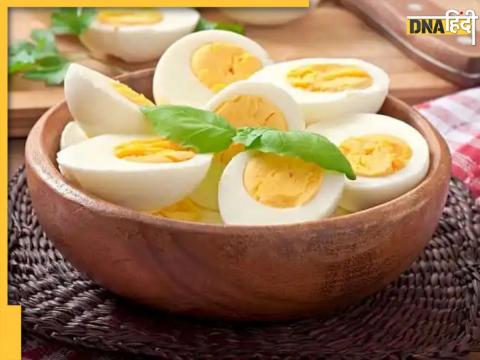 Egg Side Effects In Hindi