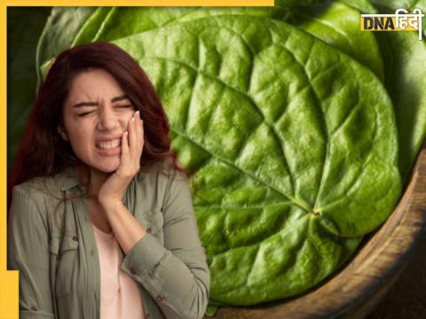 Paan Leaves Benefits