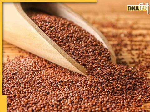 Halim Seeds Benefits