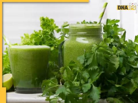 Coriander Leaves Chutney Control Uric Acid