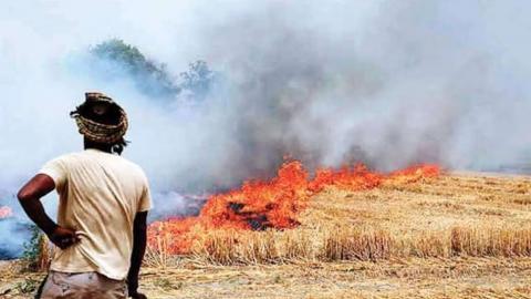 दिल्ली का दम घोंटती है पराली