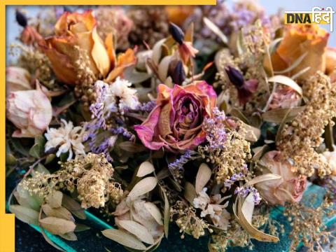 Dry Flowers Attract Vastu Dosh