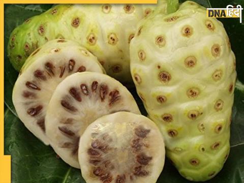 Noni Fruit Benefits