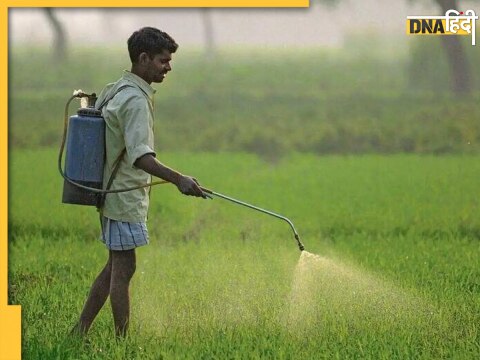 Govt Subsidy for P&K Fertilizer