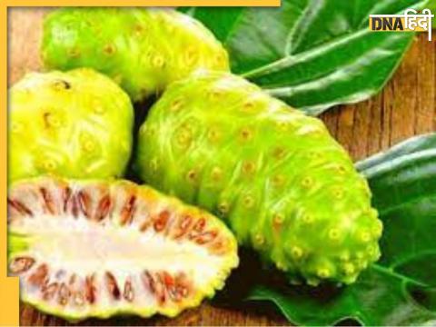 Noni Fruit For Diabetes