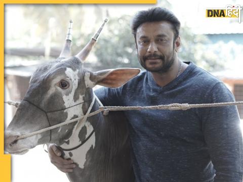 South Actor Darshan Thoogudeepa pet Dogs attack Woman