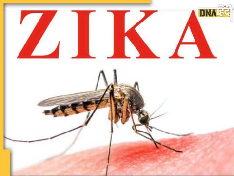 Zika Virus Symptoms