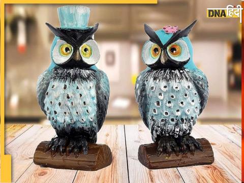 Vastu tips of owl in Diwali