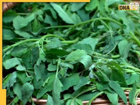 Bathua Saag Benefits