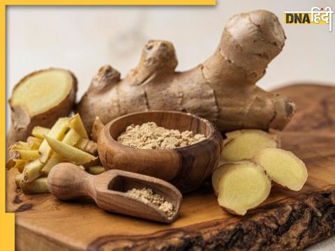 Ginger Health Risk