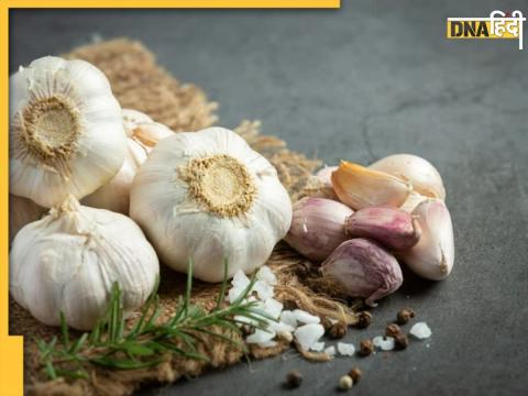 Garlic Benefits In Winter