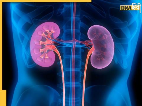 Kidney Health