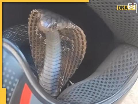 snake helmet video viral social media