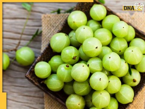 Amla Benefits In Winters