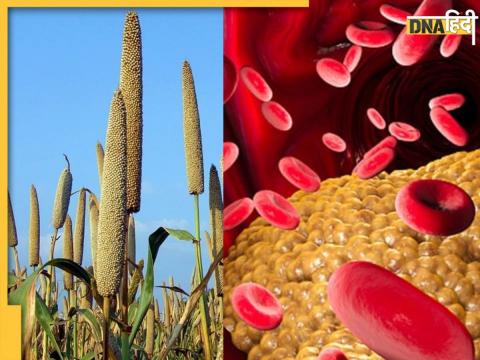 Millet For Reduce Cholesterol