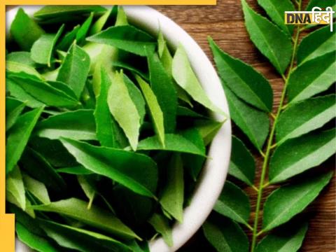 Curry Leaves Benefits