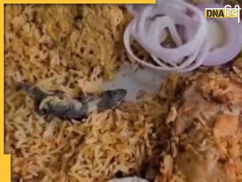  zomato biryani biryani dead lizard news hindi 