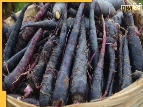 Health Benefits Of Black Carrot