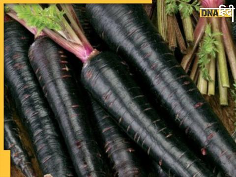 Black Carrot Benefits