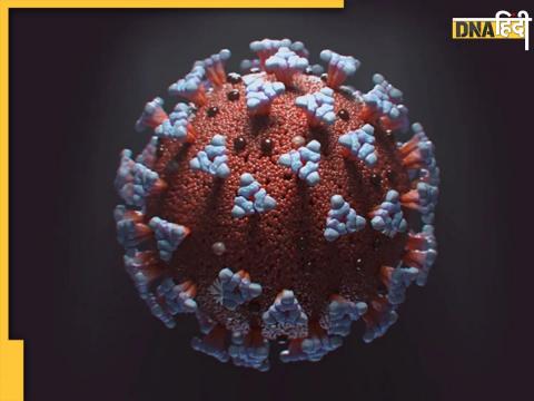 Coronavirus (Representational Photo)