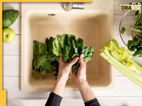 Keep Green Leafy Vegetables Fresh