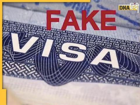 Fake Visa