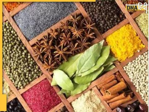 Spices Reverse diabetes 
